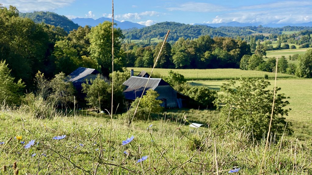 MAISON VENDUE 64360 MONEIN Béarn