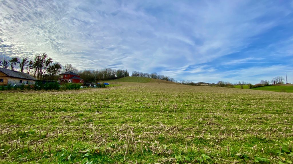 TERRAIN VENDU 64360 CARDESSE Béarn