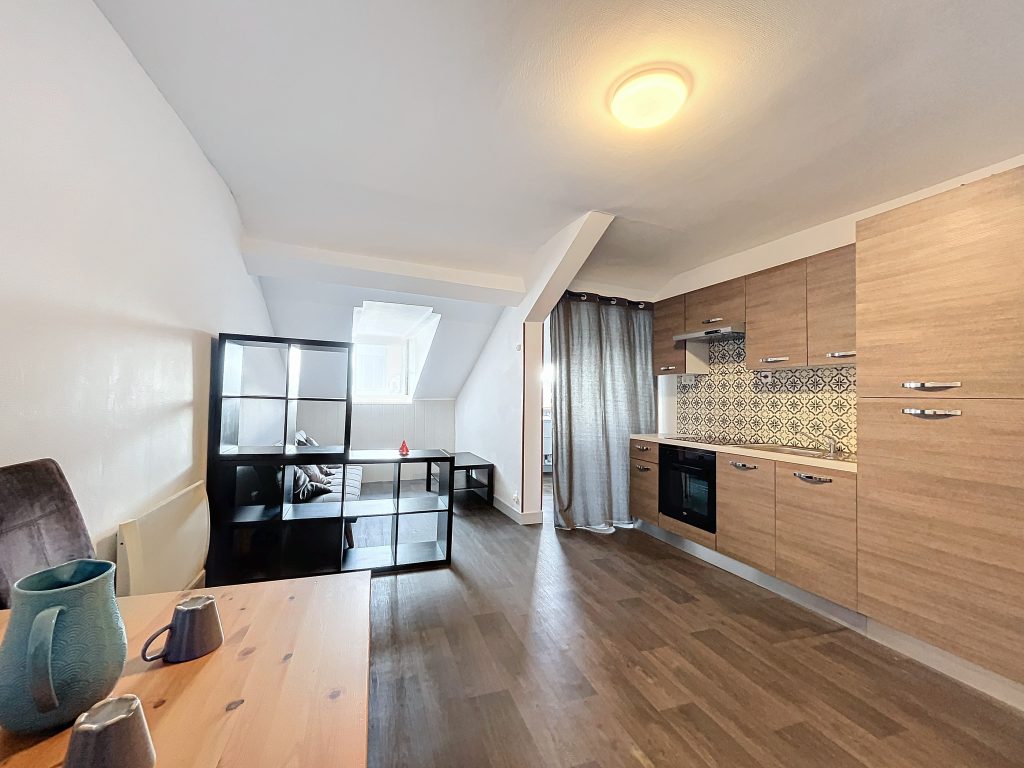 appartement T1 Pau 64000 béarn immobilier quartier halles hyper centre ville pau meublé primo accédant investisseur