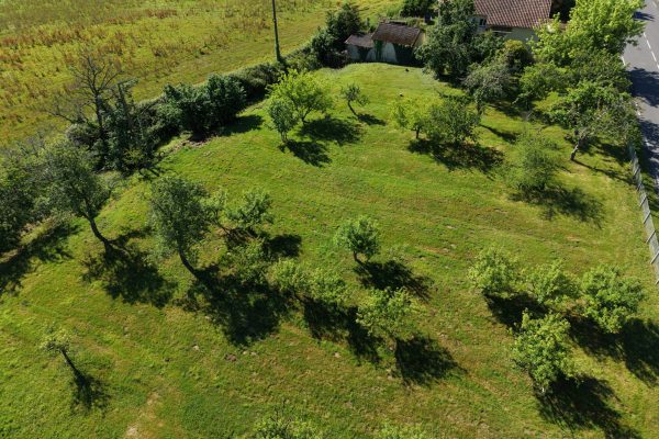 DJI_20260511102621_0182_D